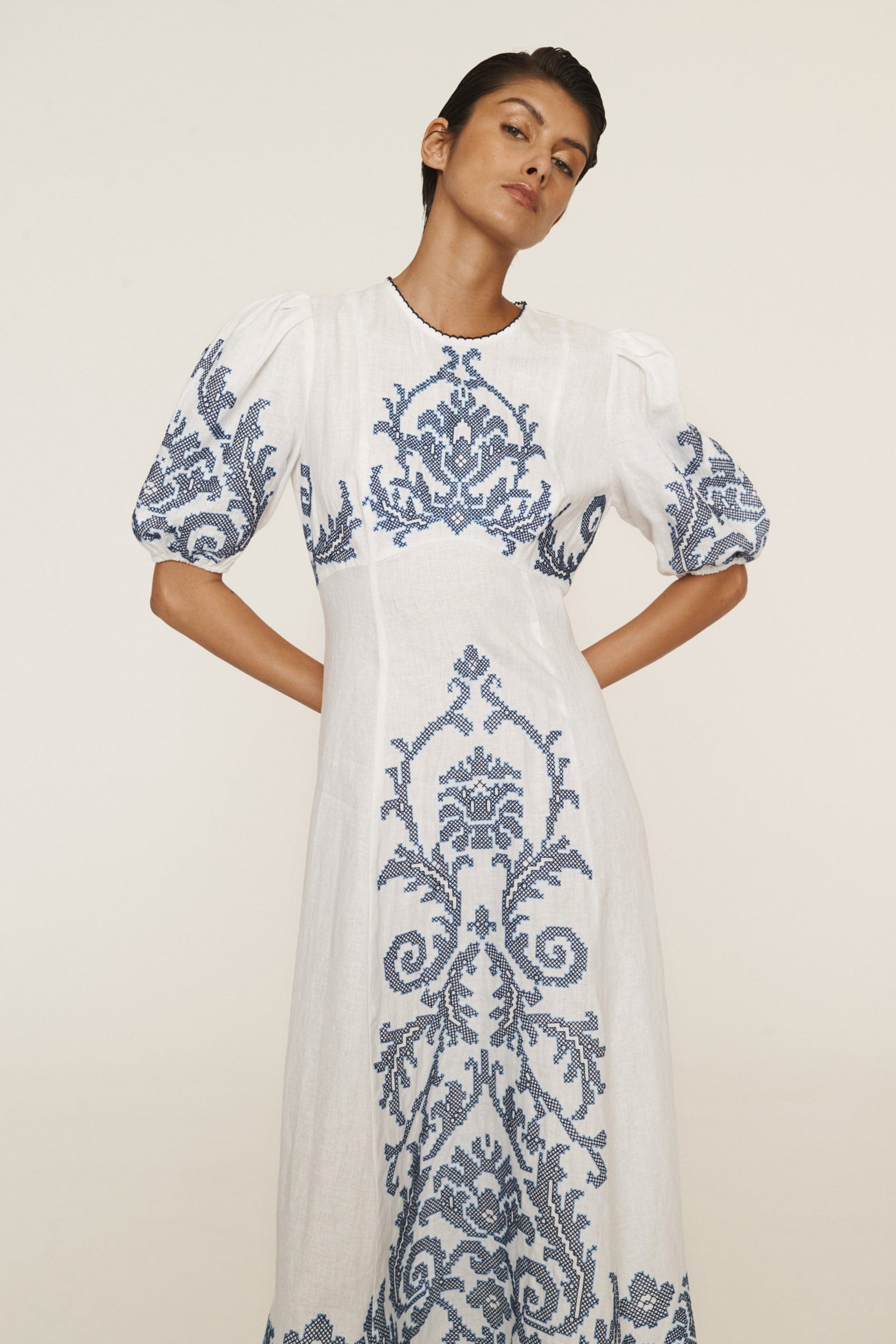 sachin and babi light blue dress White Cotton Embroidered Dress | WHISTLES main image 0