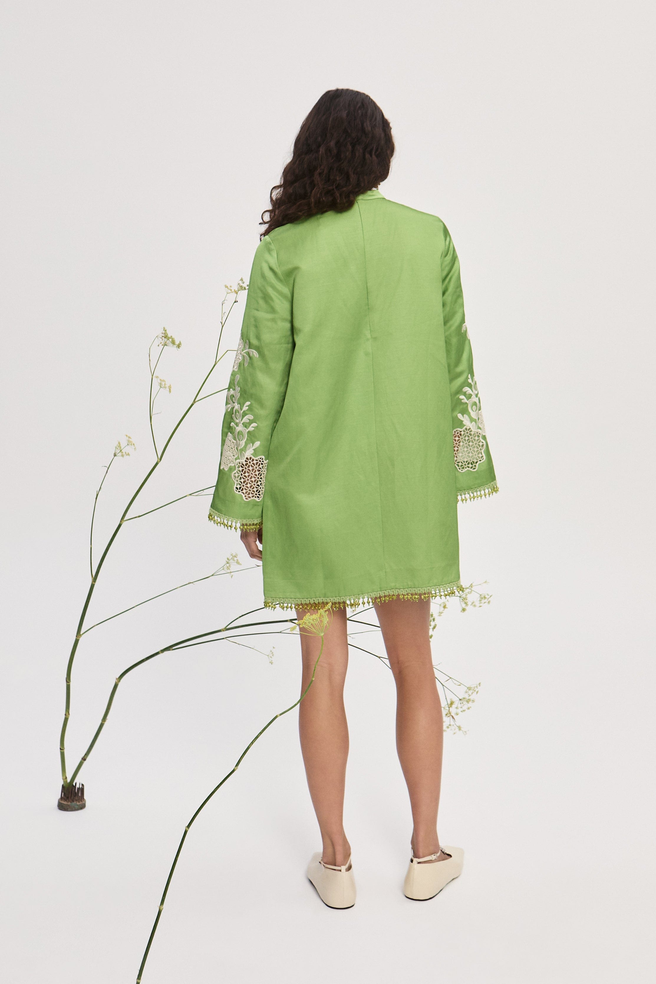 LUISA EMBROIDERED MINI DRESS