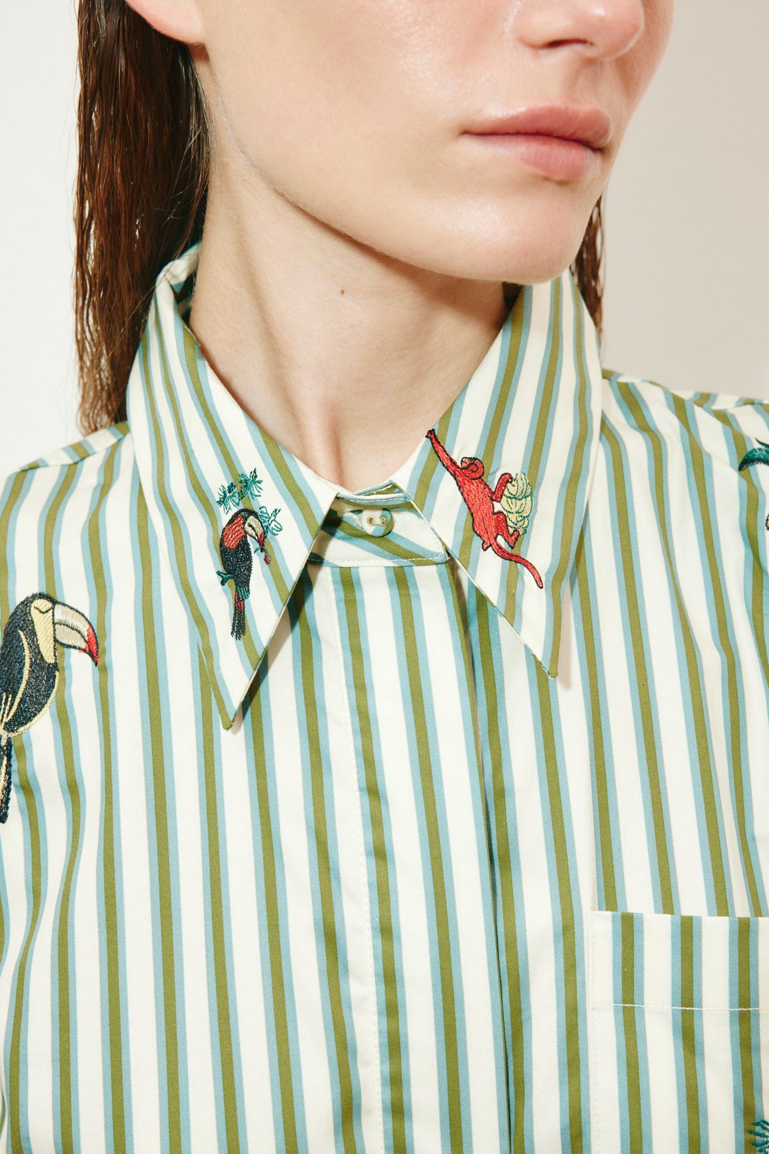 Alémais Women's Bisou Embroidered Striped Cotton Poplin Midi-Shirtdress - Stripe